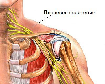 Блокада плечевого сплетения в Москве