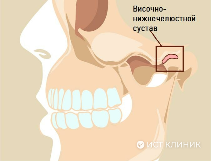 Височно-нижнечелюстной сустав